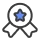 Icon Promotion